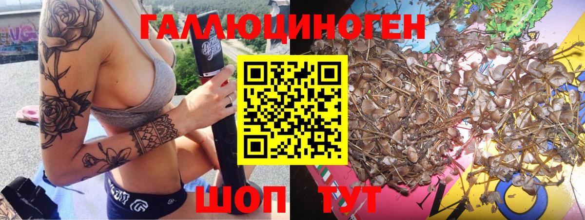 наркота  Вход с VPN  Таганрог  Псилоцибиновые грибы Cubensis 