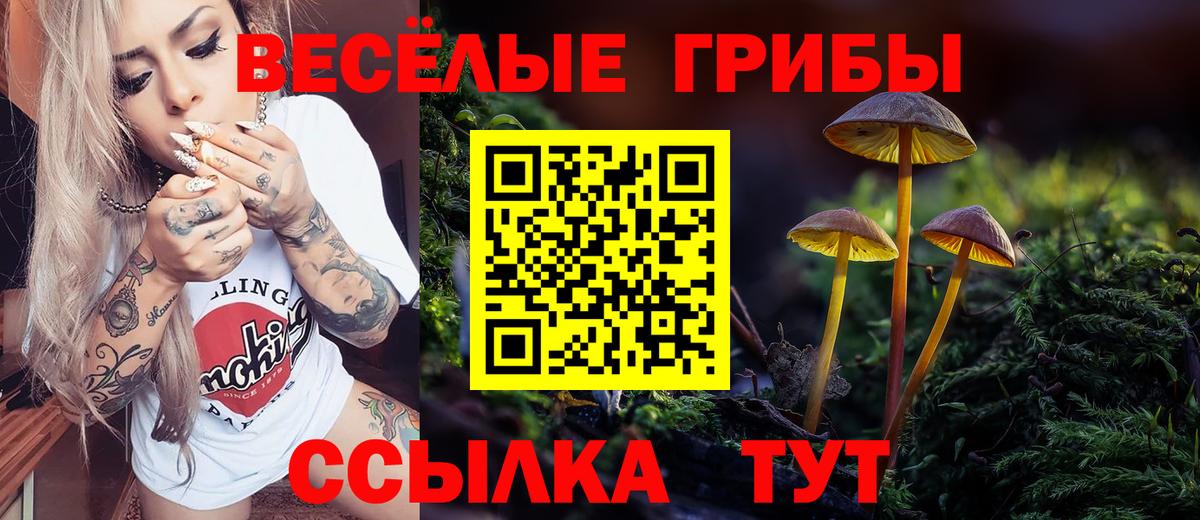 Псилоцибиновые грибы ЛСД Таганрог